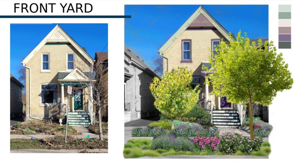 Front yard digital illustration of garden before and after