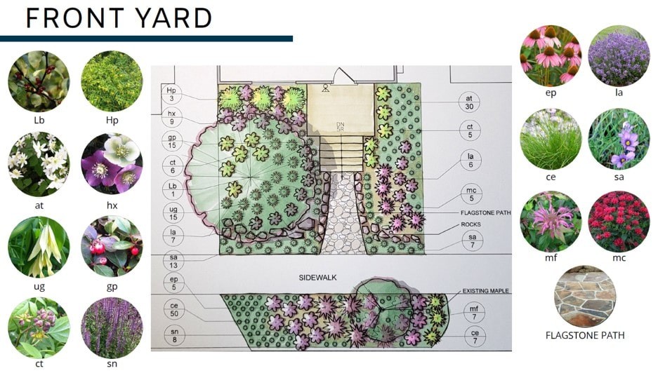 Planting plan design for front garden