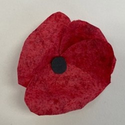 completed seed paper poppy